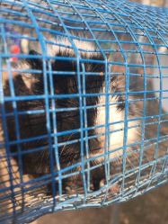 -萌宠亲子动物乐园(槐房万达店)