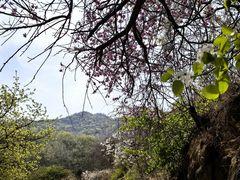 -赞皇棋盘山-停车场