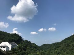 -木兰云雾山