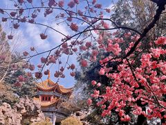 -昆明动物园