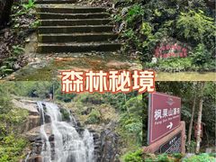 -海南热带雨林国家公园吊罗山景区