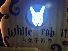 -白兔子密室(长寿路店)
