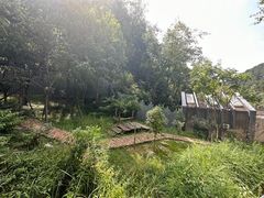 -黔灵山公园