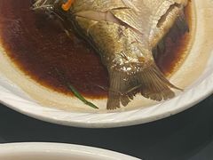 清蒸武昌鱼-艳阳天(万达广场红标店)