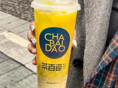 仔姜凤梨-茶百道(惠新东街店)