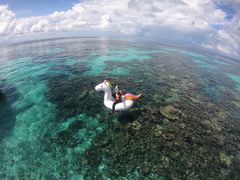 -中央格兰德岛温泉度假酒店 - 全包