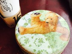 -珍妮曲奇聪明小熊(尖沙咀店)