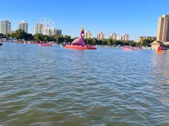 -天津水上公园