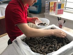 -宫品海参专卖店(静安大宁店)
