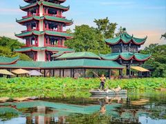-桂湖森林公园