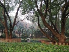 -徐家汇源景区-衡山公园