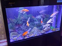 -宜昌富力皇冠假日酒店·咖啡1号西餐厅