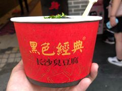 -黑色经典臭豆腐·湖南特产(潇湘文化店)