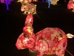 -映月湖公园