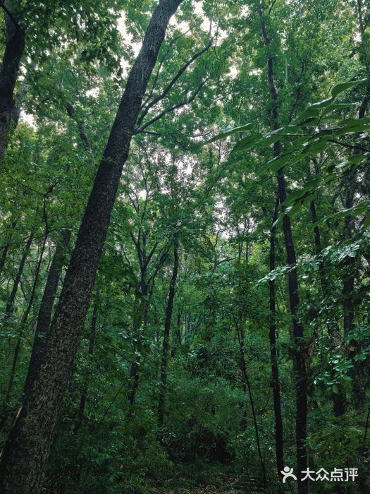 紫霞湖公园图片