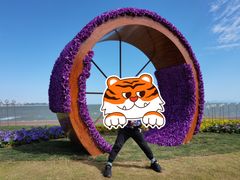 -野狸岛