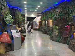-上海大自然野生昆虫馆(东方明珠·爬宠昆虫探索中心)