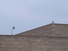 -盘龙城国家考古遗址公园