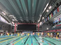 -陕西省游泳跳水馆