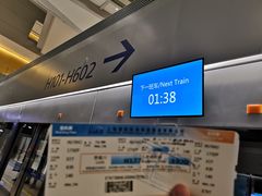 -上海浦东国际机场-T2航站楼