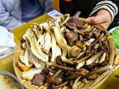 -菌极鲜野生菌火锅店(阳明祠店)