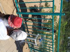 iphone_upload_pic-北戴河圣蓝海洋公园