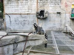 -常州淹城野生动物世界