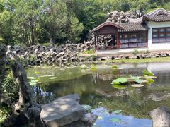 -无锡蠡湖国家湿地公园-蠡园
