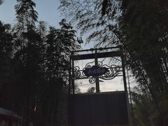 -蜀南竹海景区