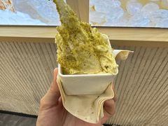 -野人先生现做冰淇淋(西安赛格店)