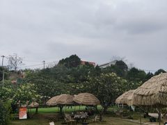 -桃源山庄·摘樱桃·柴火鸡·烧烤团建(龙泉山店)