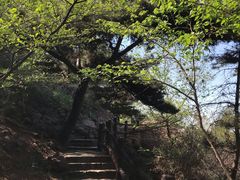 -山叶口景区