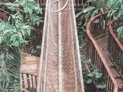 -正佳雨林生态植物园
