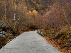 -叠溪松坪沟景区