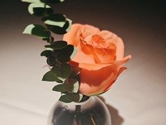 -佐度王子扒房(爱建卓展店)