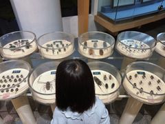 -陕西自然博物馆