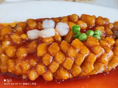 松鼠-清真马祥兴菜馆(云南北路店)
