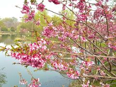 -梁鸿国家湿地公园