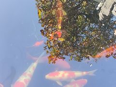 -西安市广仁寺