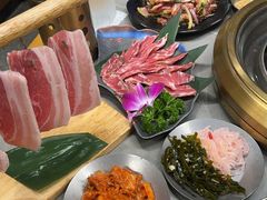 -杨小佳·齐齐哈尔烤肉·烤串(广州店)