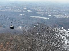 -紫金山山顶公园
