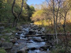 -玉渡山自然风景区