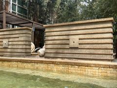 -春晖园度假酒店温泉