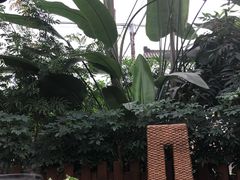 -汤山翠谷生态餐厅
