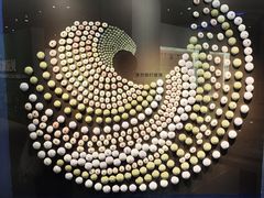 -大连自然博物馆