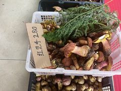 -双喜农庄·菌香园(安居家园店)