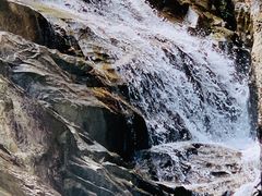 -广州白江湖森林公园