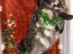 石斑鱼-盒马鲜生(悦峰店)