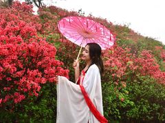 -木兰云雾山