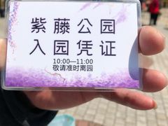 -嘉定紫藤园
